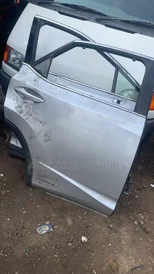 Door for Rx 350 2018