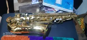 Professional Standard Alto Saxophone
