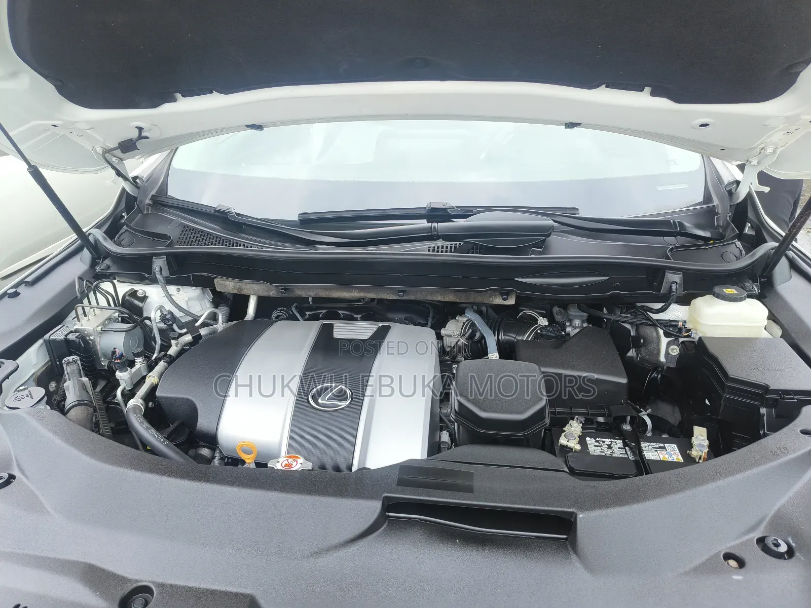 Lexus RX 2022 White
