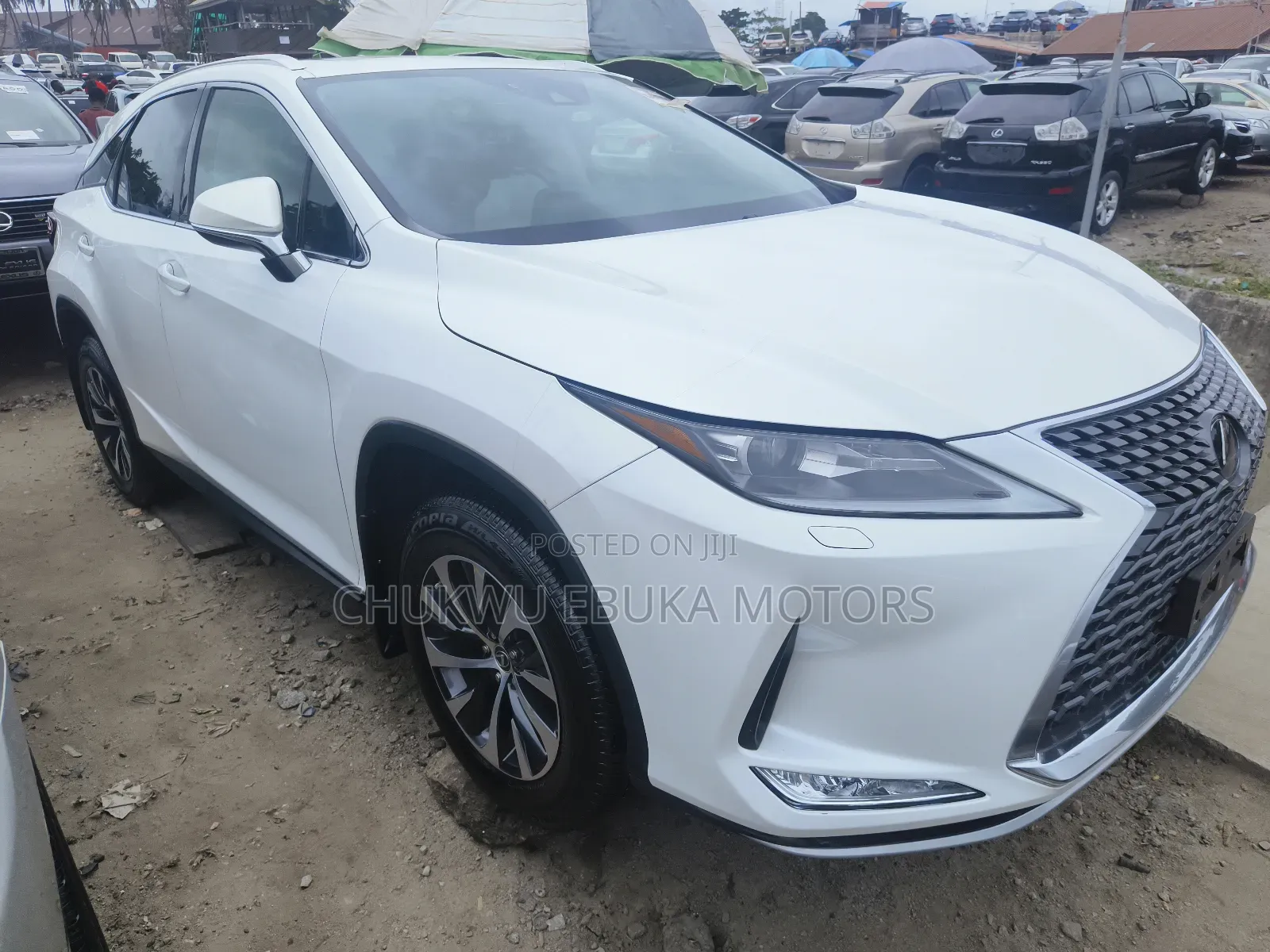 Lexus RX 2022 White