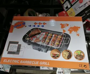 Electric Barbecue Grill