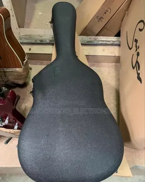 Photo - Professional Guitar Case