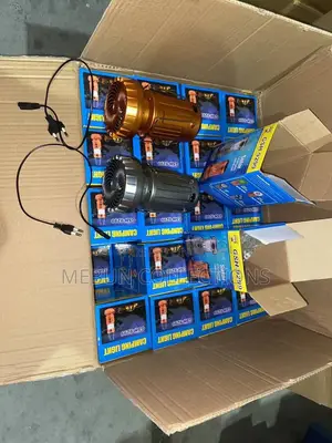Solar Light and Fan