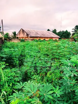 For Sale: Massive 3500sqm Land in the Heart of Town Uyo