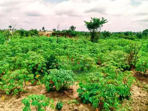 Photo - 1500sqm for Sale at Block 4, Shelter Afrique Estate, Uyo