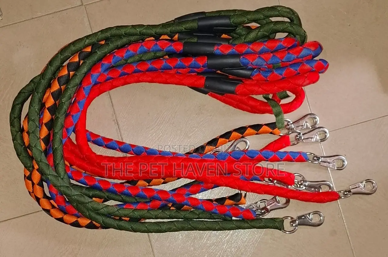 Leash for All Dogs