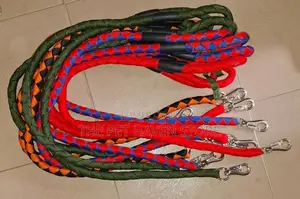 Leash for All Dogs