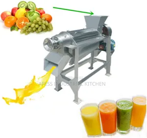Spiral Commercial Juice Extractor