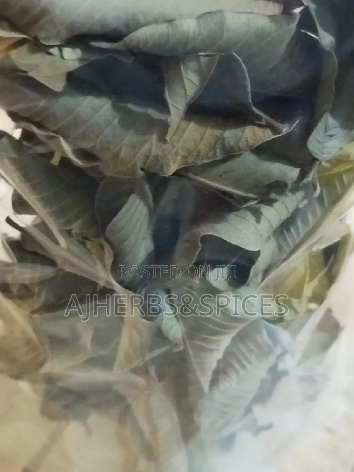 Dried Soursop Leave