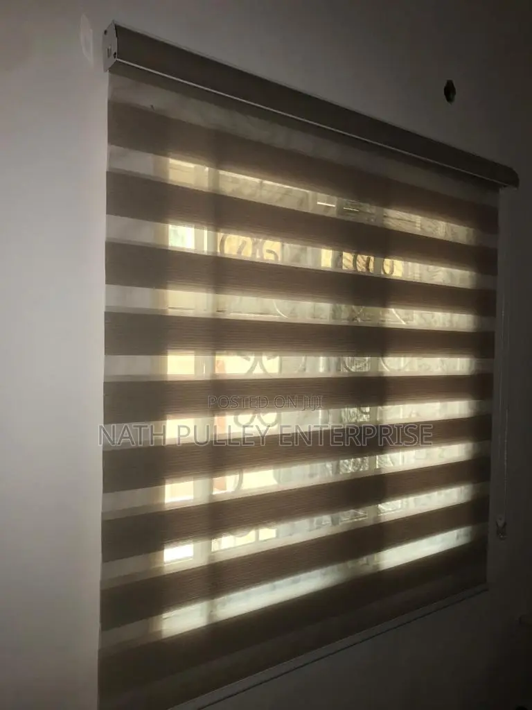 Different Kinds of Zebra Blinds
