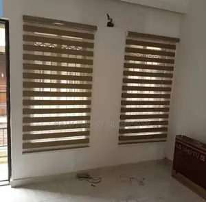 Different Kinds of Zebra Blinds