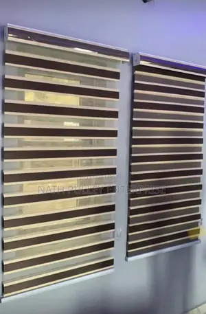 Different Kinds of Zebra Blinds
