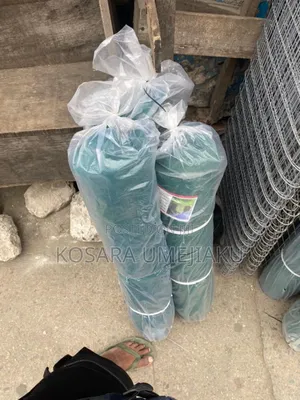 Scaffolding Net