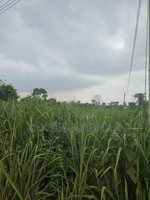 A Big Parcel Of Land At Orange Island Lekki Phase 1