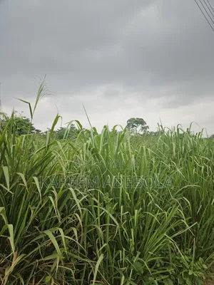Education Plot of Land at Katampe Extension Abuja