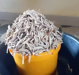 Fresh Ugba (Oil Bean)