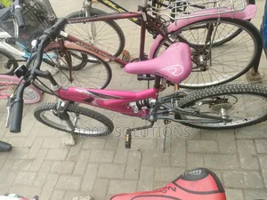 Standard Sport Bicycles for Sale