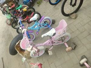 Standard Sport Bicycles for Sale