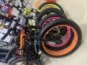 Fat Tyre Bicycle