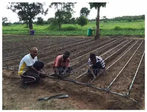 Irrigation Kits