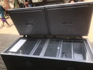 Bd600 Snowsea Double Door Chest Freezer