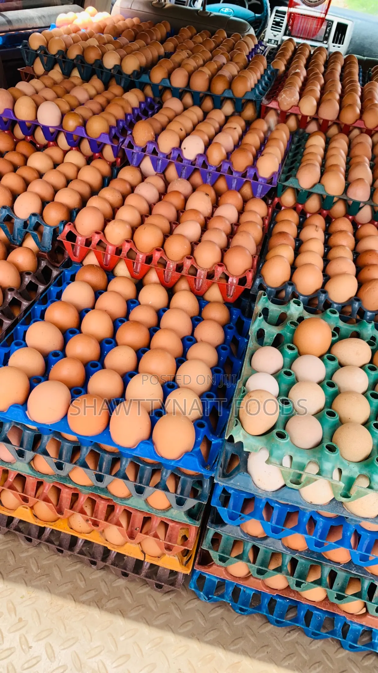 Fresh Medium Chicken Eggs Available