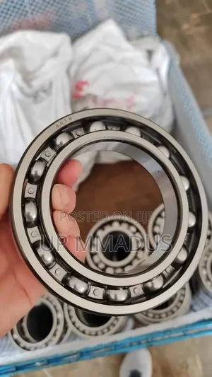 Original Bearings 6018 High Quality