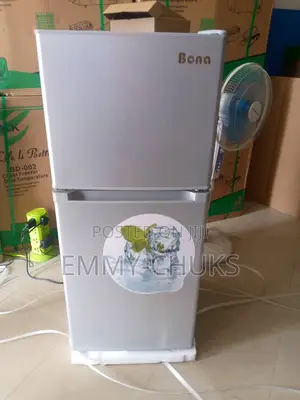 Solar Standing Double Door Refrigerator