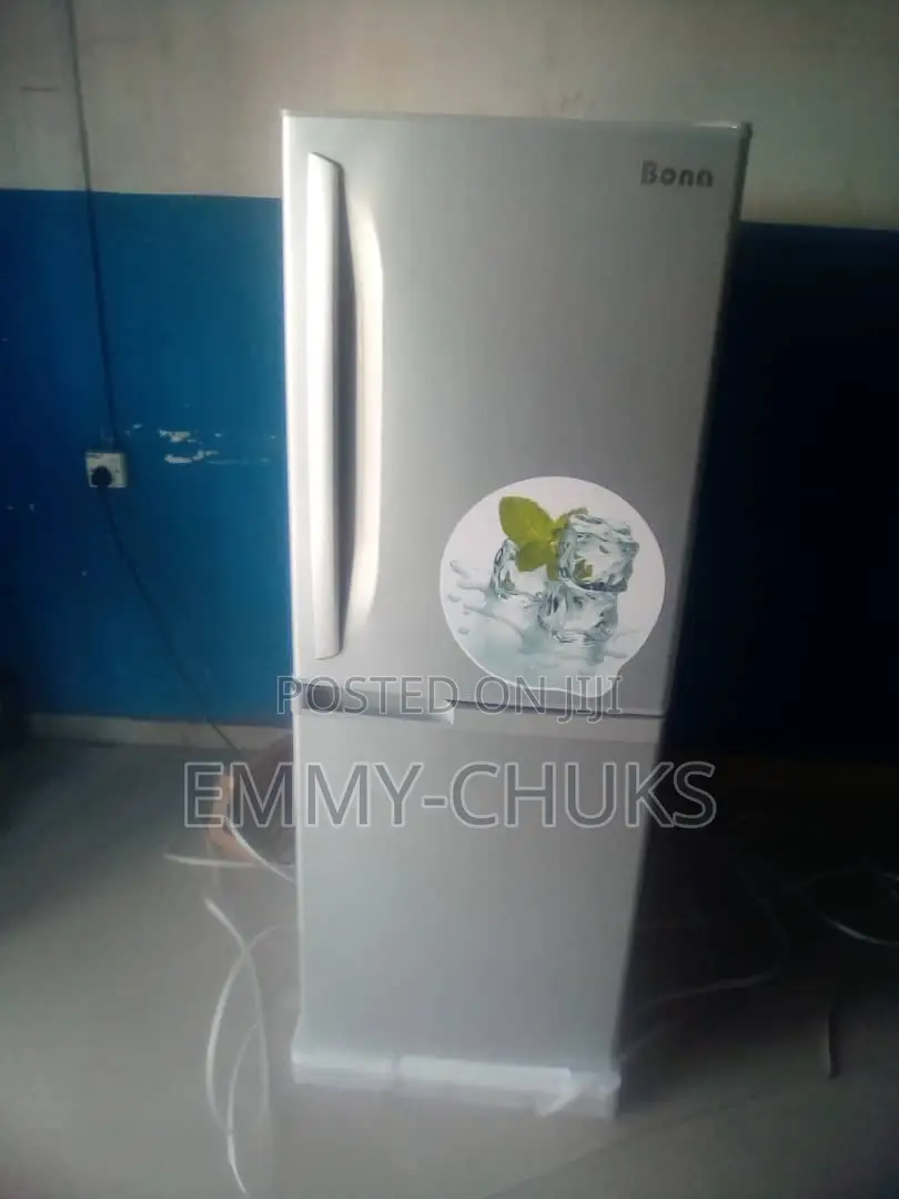 Solar Standing Refrigerator 202L
