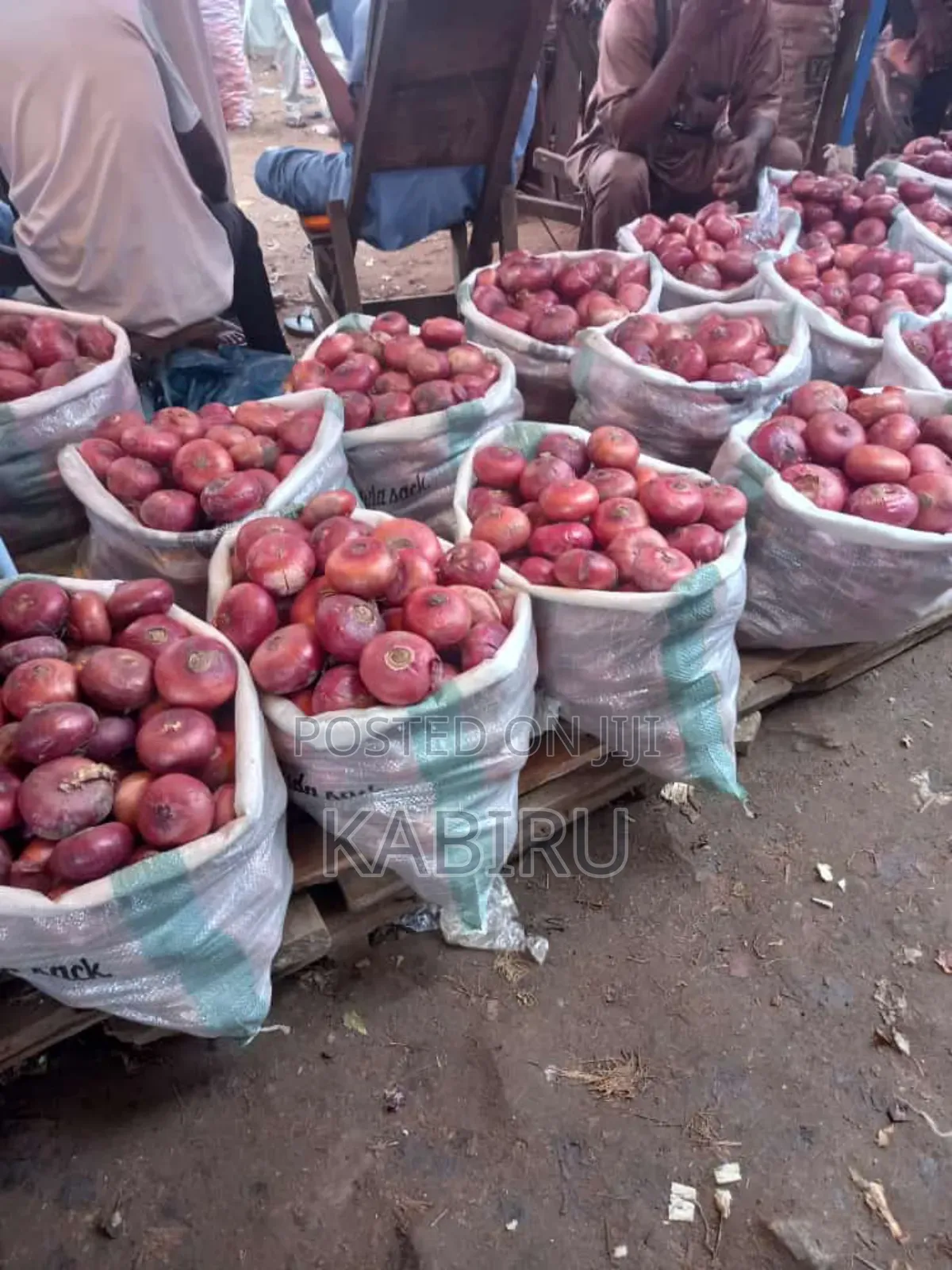 Fresh Onions