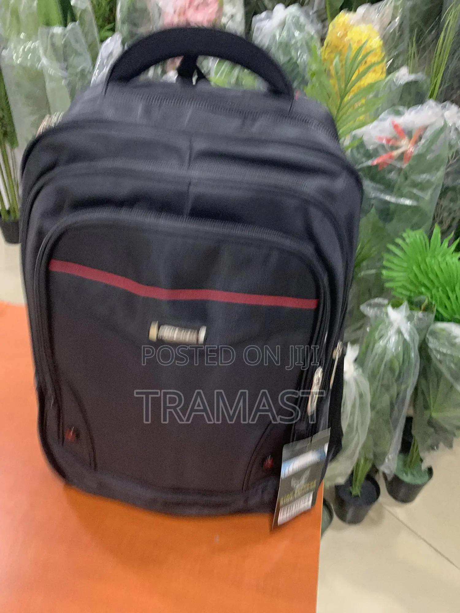 Black Back Pack / School Bag