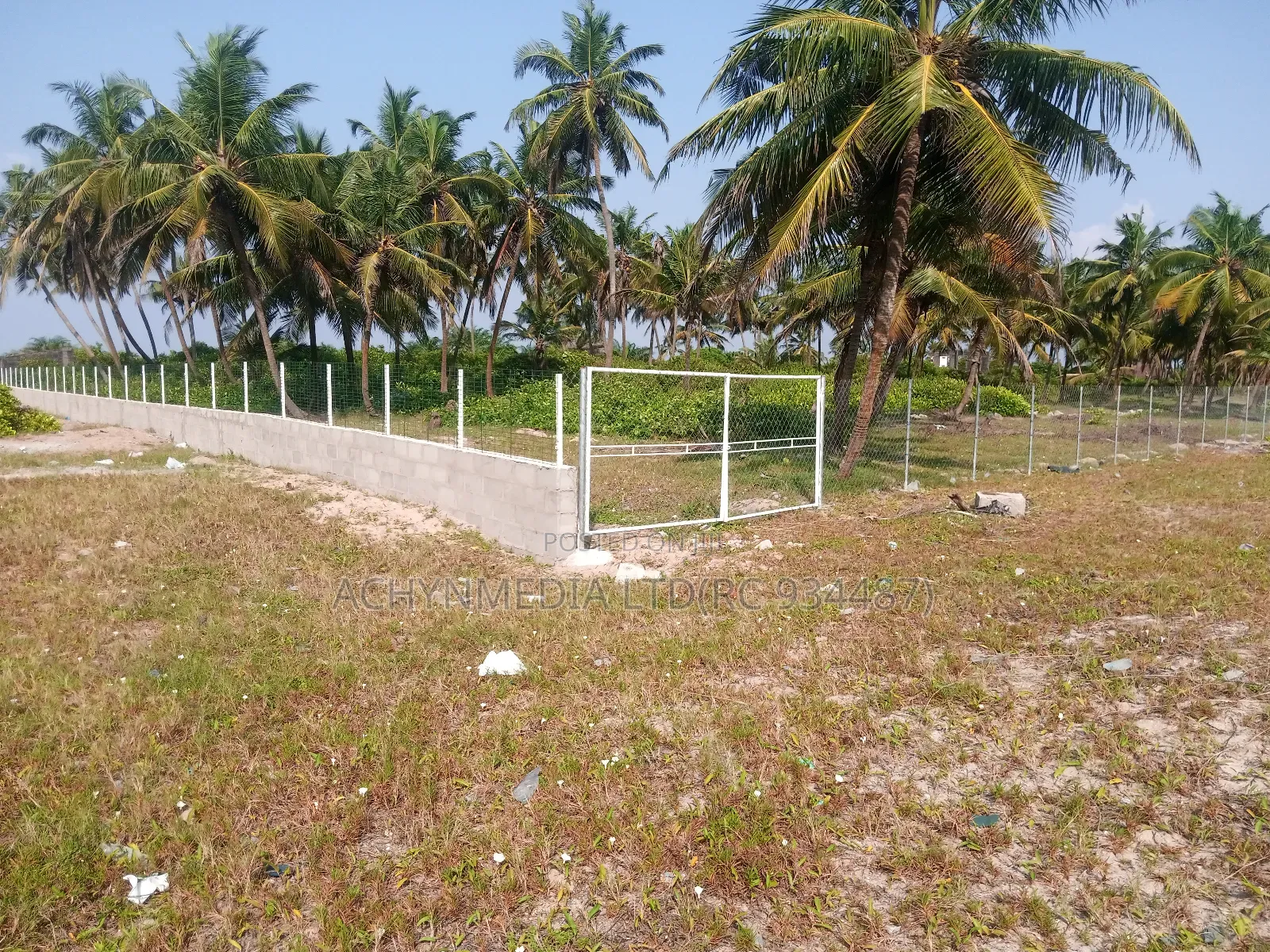 Farm Warehouse Greenhouse Construction