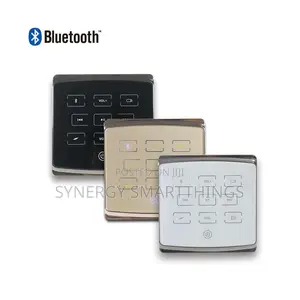 Smart Home 25w Bluetooth Wall Amp