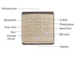 Smart Home 25w Bluetooth Wall Amp