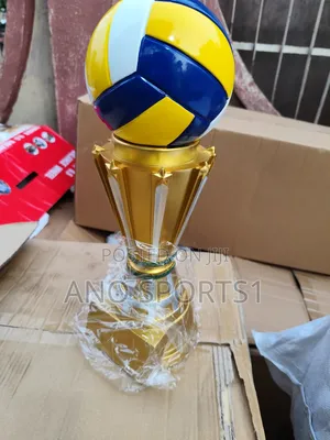 Volleyball Trophy