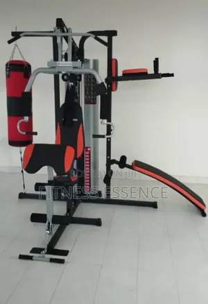 Newly Imported 3 Station Gym With Punching Bag