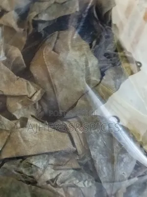 Dried Soursop Leave