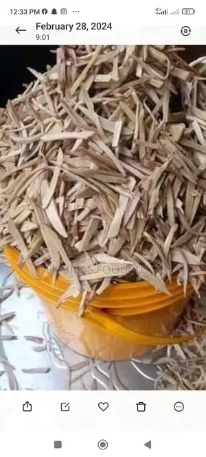 Oil Bean (Ugba) (Ukpaka)