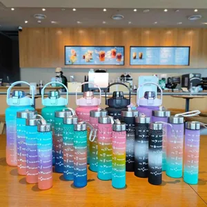 Quality 3in1 Water Bottle