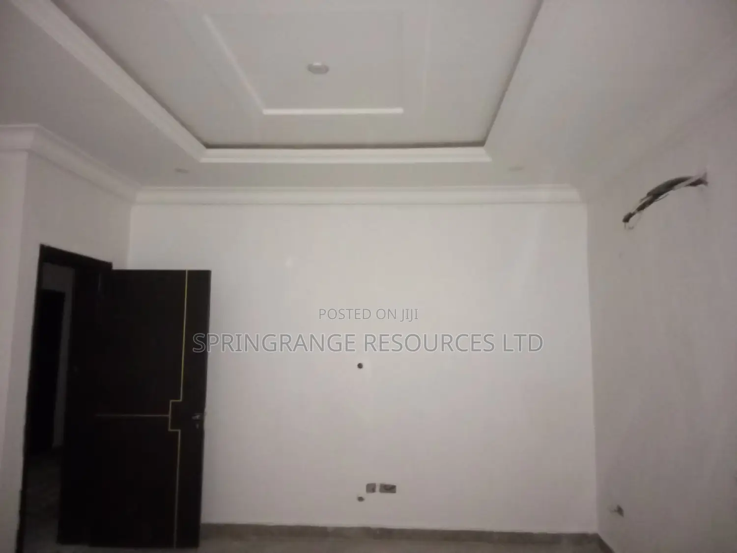 Painters Services