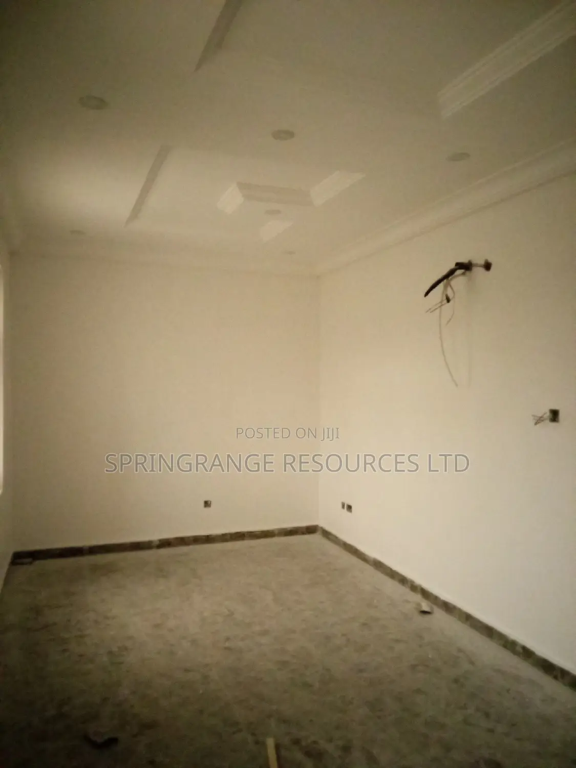 Painters Services
