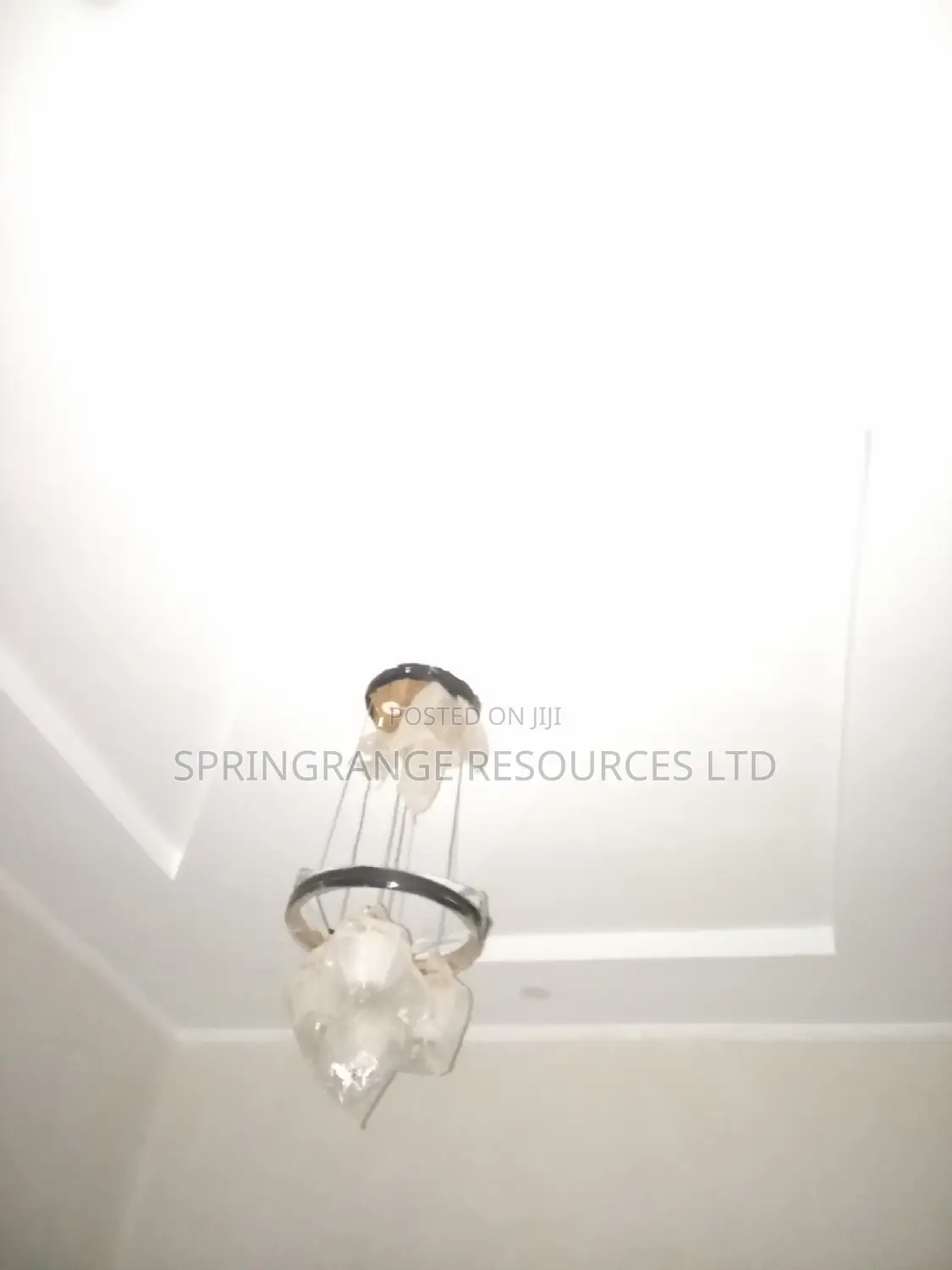 Painters Services