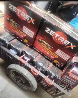 Zetrex 220 Tubular Battery