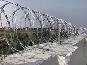 Security Fence