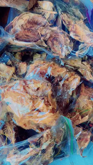 Stock Fish Ear and Flesh