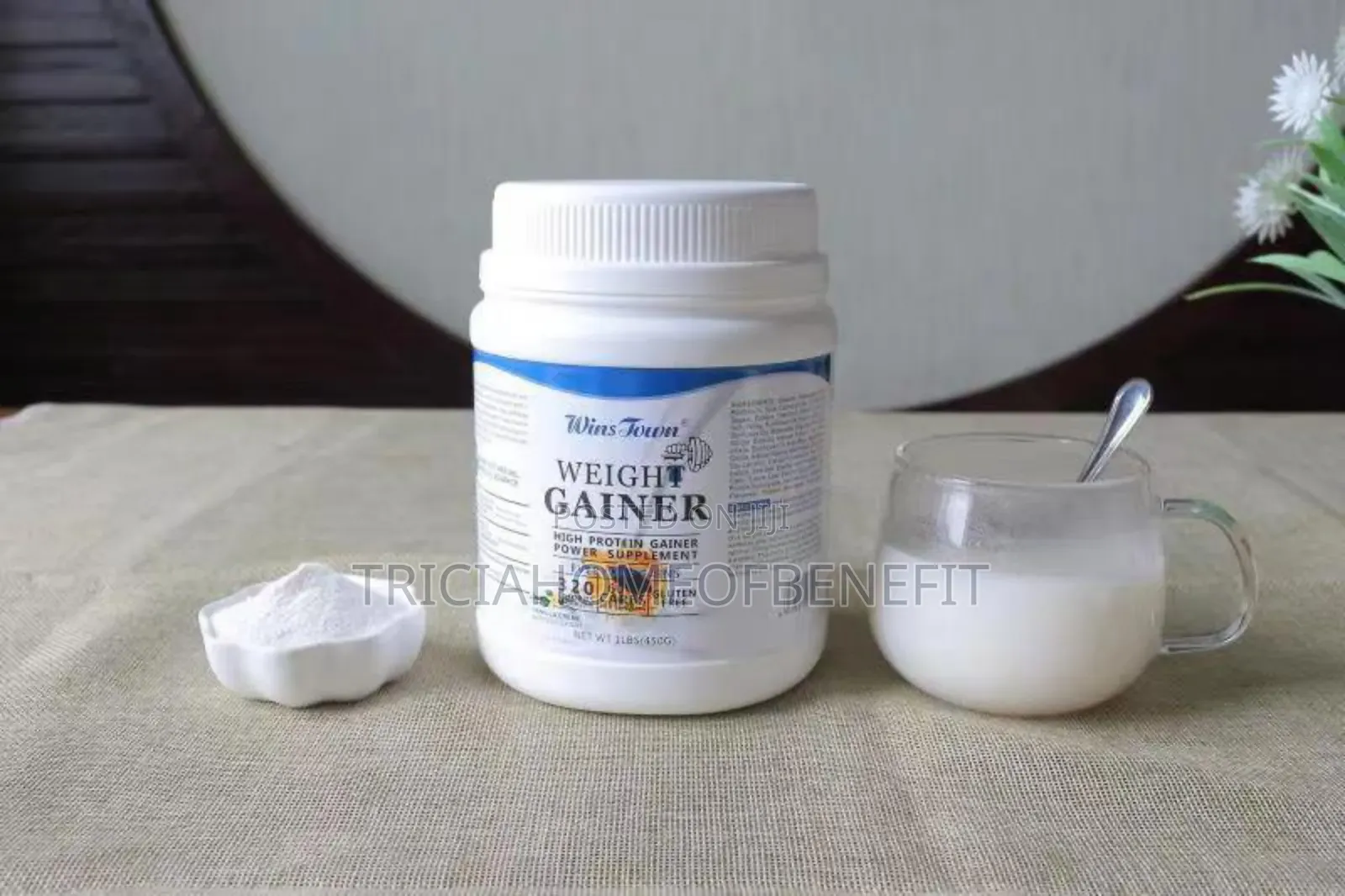 Winston Weight Gainer Powder 450g