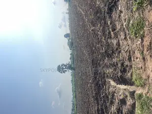 200 Acres of Farmland at Okaka, Itesiwaju LGA