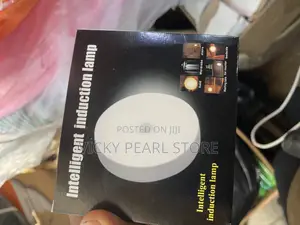 Intelligent Induction Light