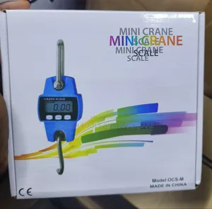 300kg Crane Digital Scale