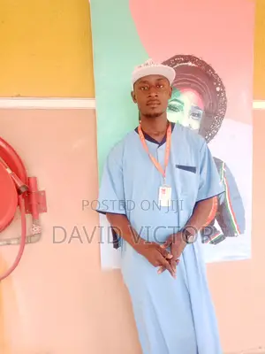 Social Media Manager